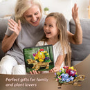 Sea Turtle Succulent Planter Set