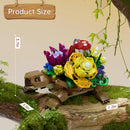 Sea Turtle Succulent Planter Set