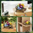 Sea Turtle Succulent Planter Set